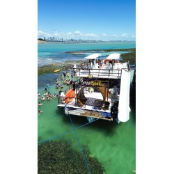 Passeio de Catamarã nas Piscinas Naturais da Praia do Seixas