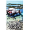 Passeio de Catamarã nas Piscinas Naturais da Praia do Seixas